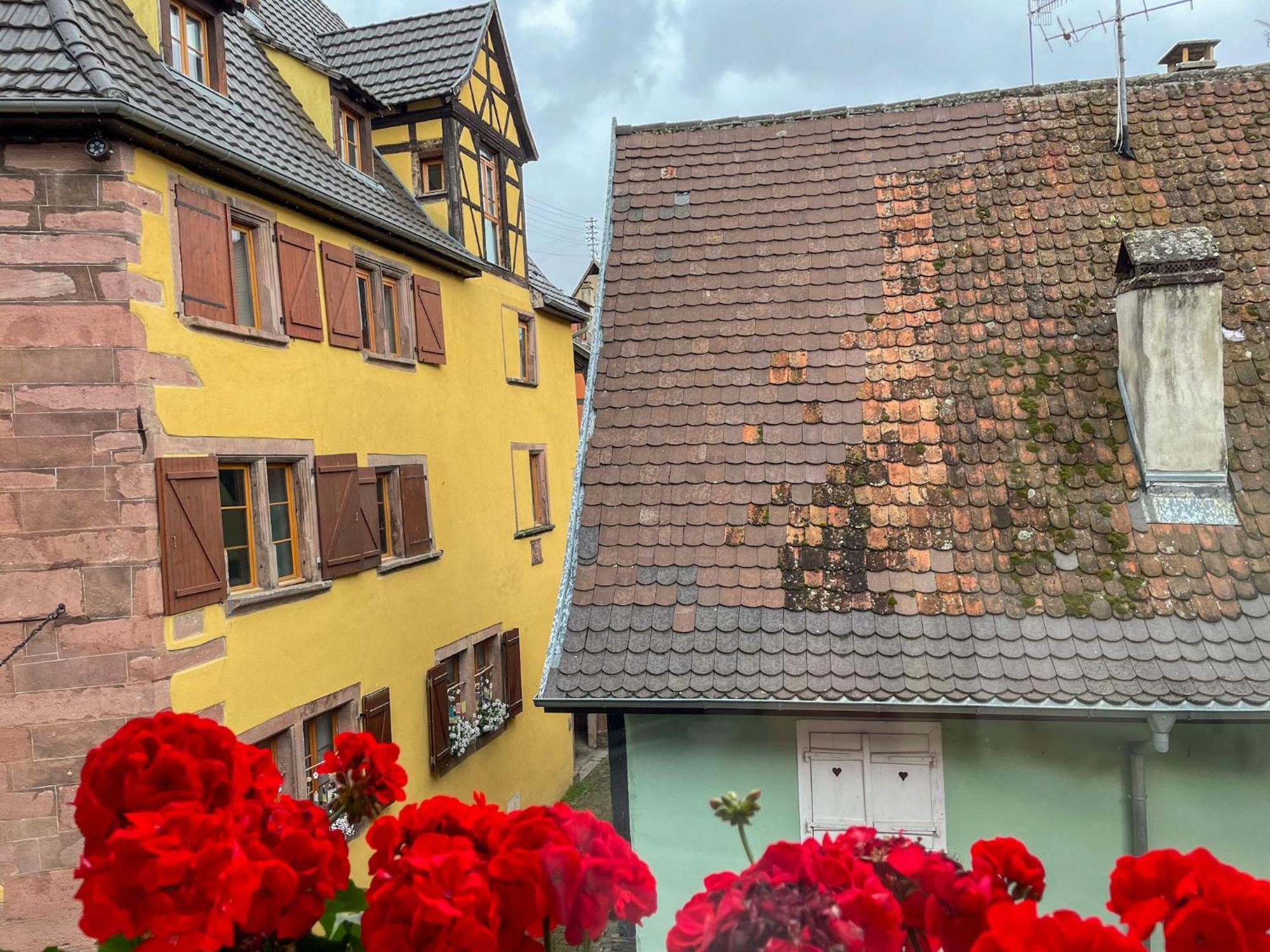 Appartement La Maison Bleue - Historic House In The Heart Of Riquewihr Extérieur photo